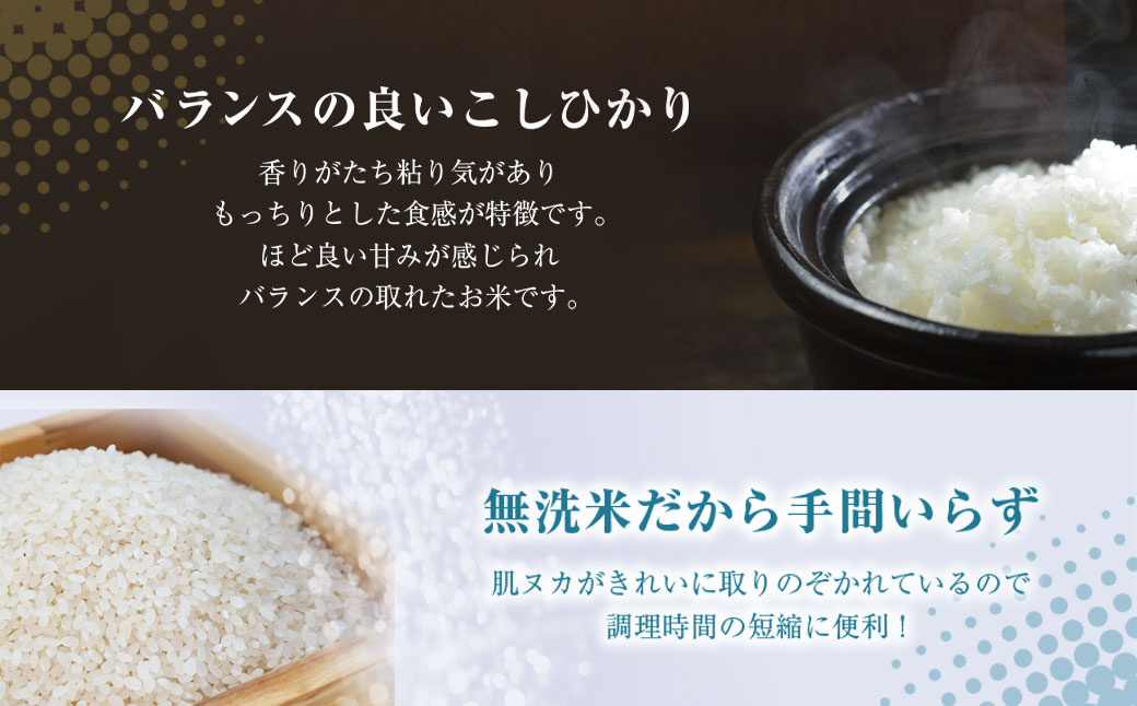 ＜令和7年産＞房の黄金米「コシヒカリ」10kg【ふるさと納税 人気 おすすめ ランキング 穀物 米 コシヒカリ 精米 無洗米 千葉県 山武市 送料無料 SMBR003】