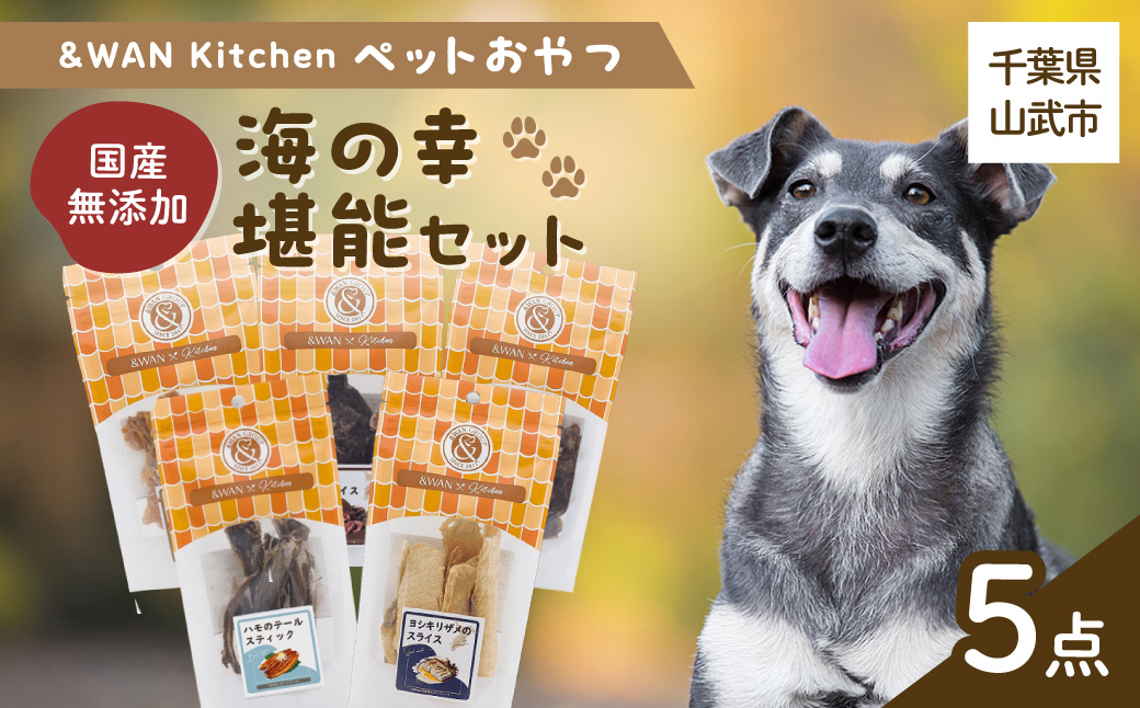 &WAN Kitchenペットおやつセット（海の幸堪能セット）（サメスライス/鮭まるごとビッツ/まぐろスティック/ハモしっぽ/エイまるごとチップ） SMU019
