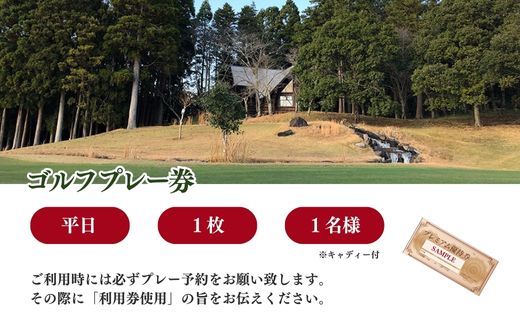 【山武グリーンカントリー俱楽部】ゴルフプレー券（平日用） SMAM003