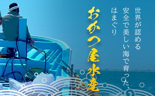 ＜先行受付/2026年5月より配送＞【千葉県ブランド認定】天然活はまぐり（小玉）《3kg》ギフトBOX付き／ふるさと納税 はまぐり ハマグリ 蛤 貝類 魚介 海鮮 お吸い物 パスタ パエリア お歳暮 贈答 お祝い 千葉県 山武市 SMBO004