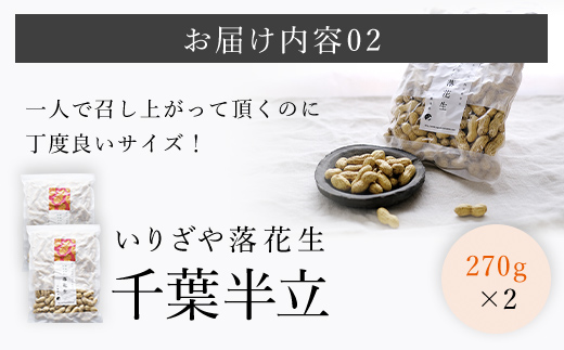 千葉県産　天日干しいりざや落花生 ふるさと納税 落花生 ピーナッツ ナッツ 豆 千葉県 山武市 SME001