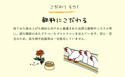 たまごやとよまる 煌黄50個入 ふるさと納税 たまご 卵 玉子 料理 千葉県 山武市 SMAS001