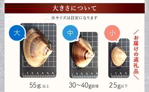 ＜先行受付/2026年5月より配送＞【千葉県ブランド認定】天然活はまぐり（小玉）《1.5kg》／ふるさと納税 はまぐり ハマグリ 蛤 貝類 魚介 海鮮 お吸い物 パスタ パエリア お歳暮 贈答 お祝い 千葉県 山武市 SMBO001