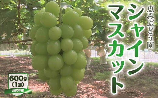 ãå
è¡äºçŽã»8æäžæ¬ããçºéãå±±æŠåžç£ãã·ã£ã€ã³ãã¹ã«ãã SMAP001