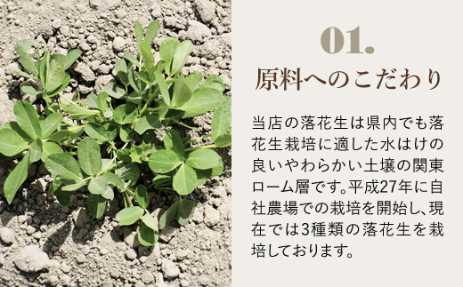 【令和7年産】訳あり はねだし落花生 約1.2kg SME006