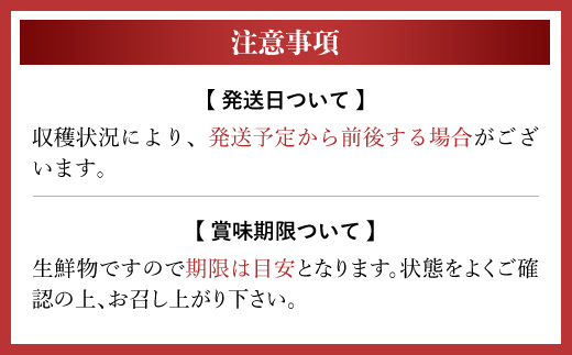 【先行予約/10月中旬発送開始】松村さんちのトマト1箱（20～24個・約4kg）/ トマト とまと 野菜 夏野菜 先行予約 千葉県 山武市 SMAE002