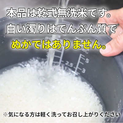 【令和5年産】コシヒカリ 10kg 無洗米【1326384】