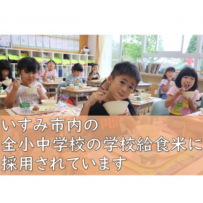 【令和6年産米】千葉県いすみ市産特別栽培米コシヒカリ『いすみっこ』精米5kg(5kg×1袋)【1546632】