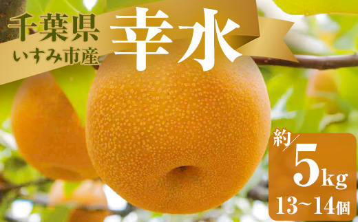 【2026年発送先行受付】いすみ市産幸水梨　約5kg(13〜14個)【1462339】