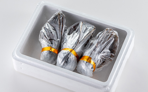 活〆冷凍伊勢海老600g【配送不可地域：離島】【1607625】