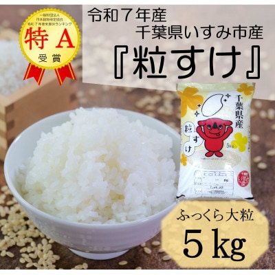 【令和7年産米】特A評価　ふっくら大粒　千葉県いすみ市産粒すけ　精米5kg【1546628】