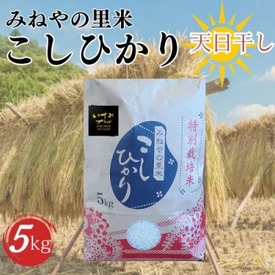 【数量限定】令和6年産　みねやの里米　こしひかり(精米)　5Kg【1459711】