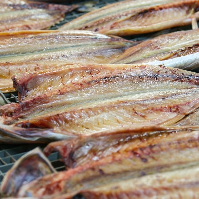 海の直売所アルファ　大人気!さば干物10枚　【配送不可地域：離島】【1262718】