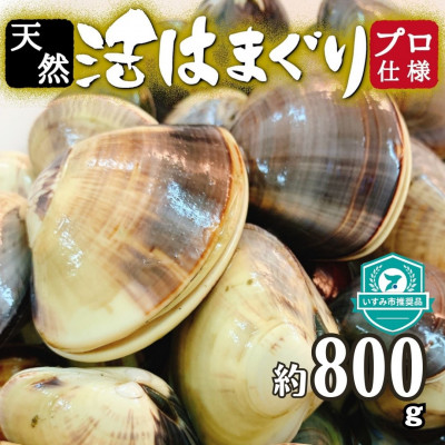 天然はまぐり約800g (千葉県産)【配送不可地域：離島・沖縄県】【1441975】