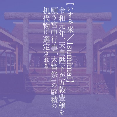 【令和5年産】コシヒカリ 10kg 無洗米【1326384】