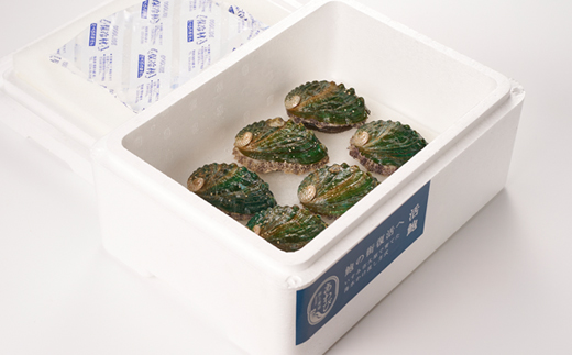 活き蝦夷あわび　6個【配送不可地域：離島・北海道・沖縄県・東北・中国・四国・九州】【1442546】