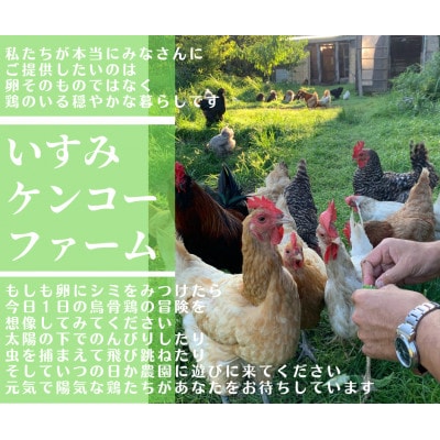 庭先養鶏いすみケンコーファームが烏骨鶏の有精卵10個を心を込めて大切なあなたへお届けいたします【配送不可地域：離島】【1455517】