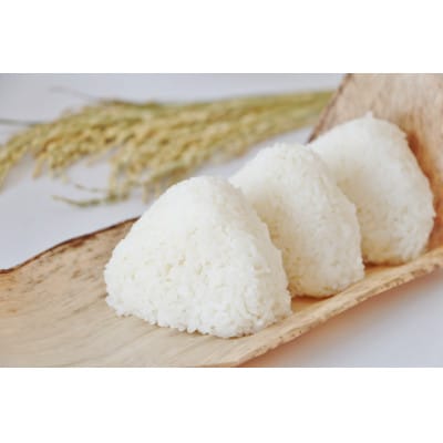 【毎月定期便】千葉県いすみ市産コシヒカリ10kg(5kg×2袋)全3回【4083579】