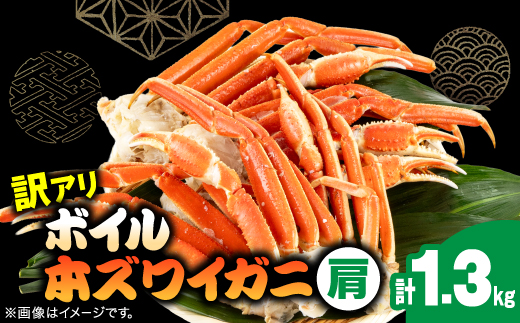 訳アリボイル本ズワイガニ肩 1.3kg【配送不可地域：離島】【1607630】