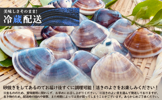 ãããèªããæŽ»ã¯ãŸãã åœç£ å€©ç¶ çŽ5.4kg åèç ä¹åä¹éç£ãé
éäžå¯å°åïŒé¢å³¶ã»æ²çžçãã1226356ã