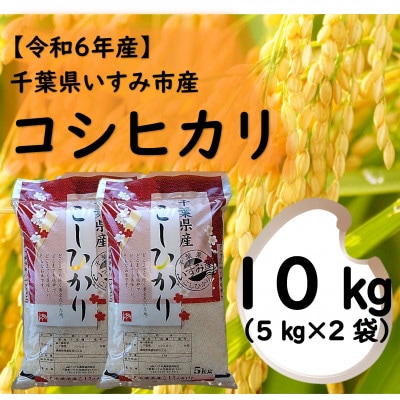 【令和6年産米】　千葉県いすみ市産　コシヒカリ精米10kg(5kg×2袋)【1546629】