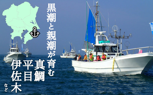 é£ãè¹ä¹è¹åž1åæ§(10,000åå)ã1395872ã