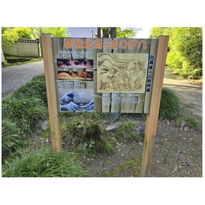 ISUMIããã¢ãŒãããã¿åžæŽå²æ¢èšªãšãã±èå°å·¡ç€Œãã¢ãŒã1640573ã