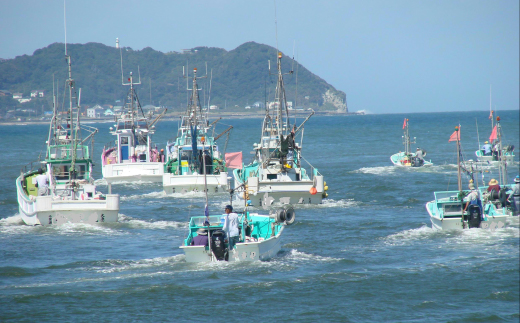 たこカレー【1539853】