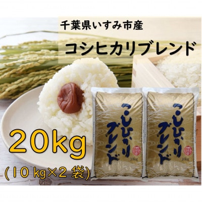 【千葉県いすみ市産】コシヒカリブレンド　精米20kg(10kg×2袋)【1546625】