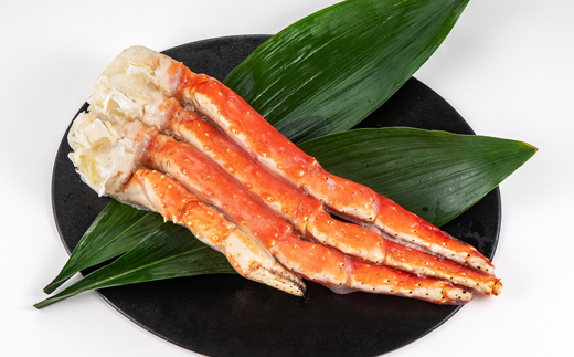 繝懊う繝ォ繧ソ繝ゥ繝占淹1kg縲宣埼∽ク榊庄蝨ー蝓滂シ夐屬蟲カ縲代1607917縲