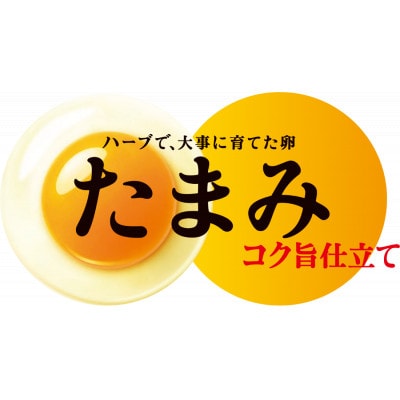 いすみポートリー「たまみ」コク旨仕立て10個入×10パック+割れ保障10個×2パック付【配送不可地域：離島】【1729055】