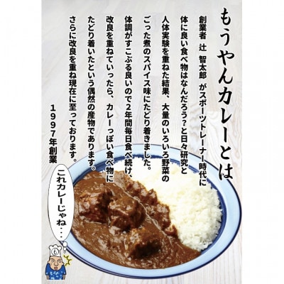 いつでもお店の味!カレーレトルト4種食べ比べセット12食【1394407】