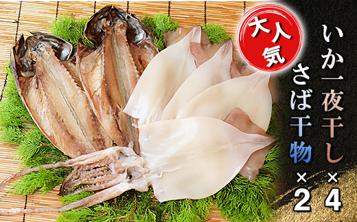 海の直売所アルファ　大人気!いか一夜干し・さば干物セット【配送不可地域：離島】【1116237】