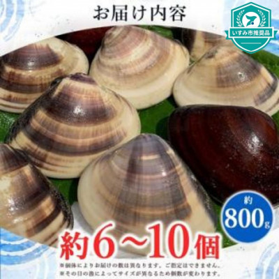 天然はまぐり約800g (千葉県産)【配送不可地域：離島・沖縄県】【1441975】