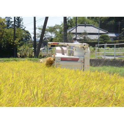 【毎月定期便】千葉県いすみ市産コシヒカリ10kg(5kg×2袋)全3回【4083579】