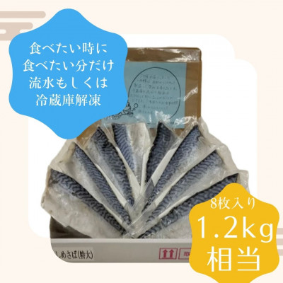 厳選　でっかい!銚子産しめさば　8枚　約1.2kg【配送不可地域：離島】【1394637】