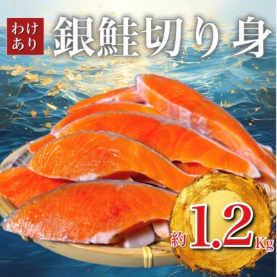 B級銀鮭切り身(打ち身、不揃い、色飛び)約1.2kg【配送不可地域：離島】【1541277】