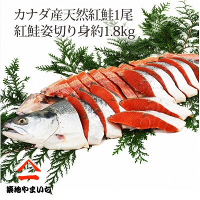 天然紅鮭 1尾姿切身 甘塩 約1.8kg【配送不可地域：離島】【1429656】