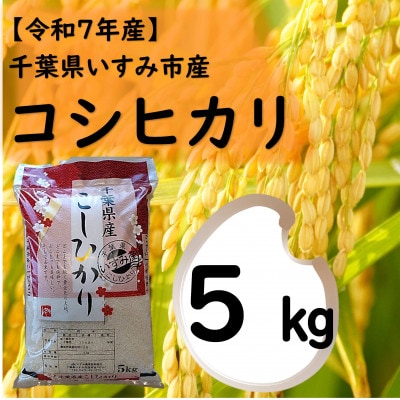 【令和7年産米】　千葉県いすみ市産　コシヒカリ精米5kg【1546630】