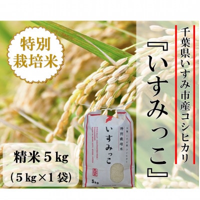 【令和5年産米】千葉県いすみ市産特別栽培米コシヒカリ『いすみっこ』精米5kg(5kg×1袋)【1445860】