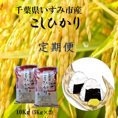 【毎月定期便】千葉県いすみ市産コシヒカリ10kg(5kg×2袋)全3回【4083579】