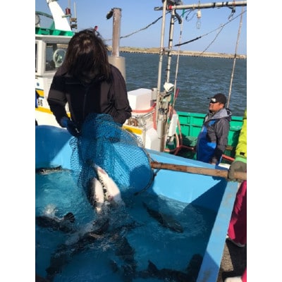 ãããã¿åžç£ã倩ç¶ãšããµã2å°Ÿçããé
éäžå¯å°åïŒé¢å³¶ãã1466351ã