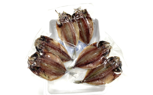 できたて干物!!あじ6枚【配送不可地域：離島】【1539825】
