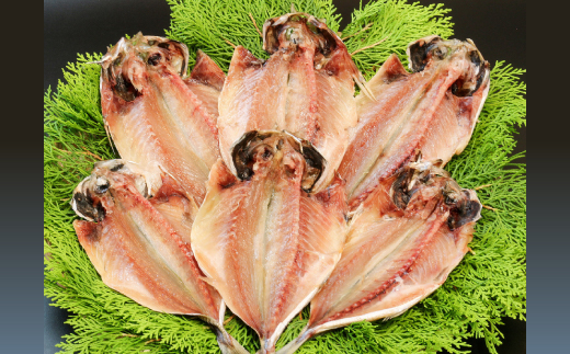 できたて干物!!あじ6枚【配送不可地域：離島】【1539825】