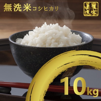 【令和5年産】コシヒカリ 10kg 無洗米【1326384】