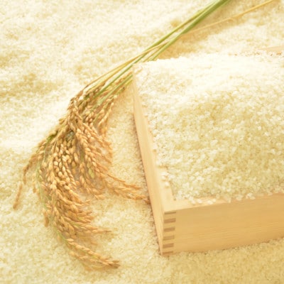 ãæ¯æå®æäŸ¿ãåèçããã¿åžç£ ç²ãã 10kg(5kgÃ2è¢)å
š3åã4082252ã