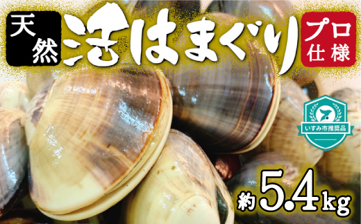 プロも認める活はまぐり 国産 天然 約5.4kg 千葉県 九十九里産【配送不可地域：離島・沖縄県】【1226356】