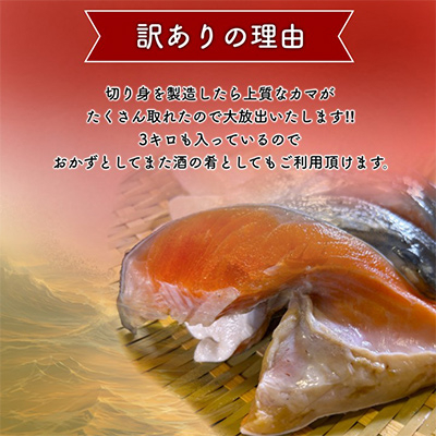 【訳あり】人気海鮮お礼品 銀鮭カマ 約3kg【配送不可地域：離島】【1389618】