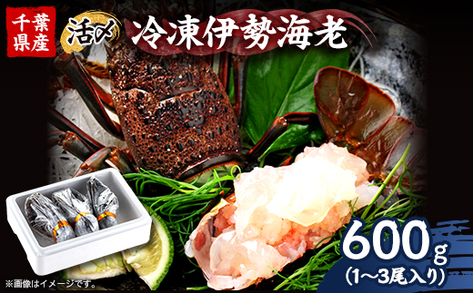 活〆冷凍伊勢海老600g【配送不可地域：離島】【1607625】