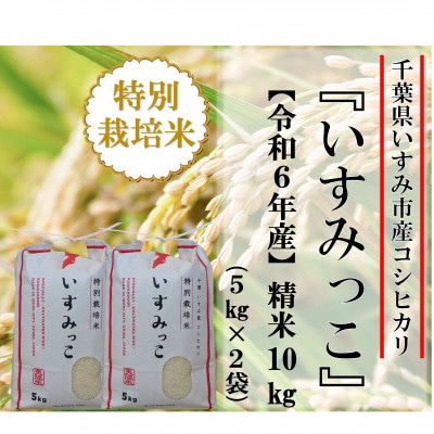 【令和6年産米】千葉県いすみ市産特別栽培米コシヒカリ『いすみっこ』精米10kg(5kg×2袋)【1546631】